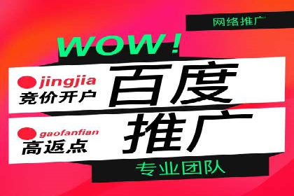 某电商平台的SEM竞价专员成功案例分享