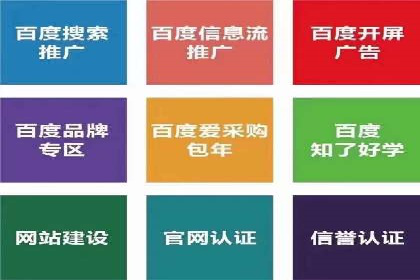 精准营销：百度推广平台的成功案例解析